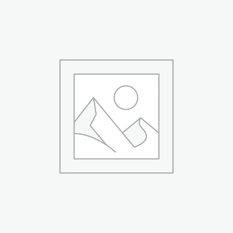 Acessórios Para Churrasqueiras